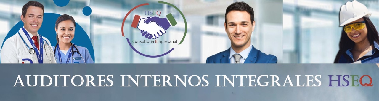 Auditor_Interno_Integral